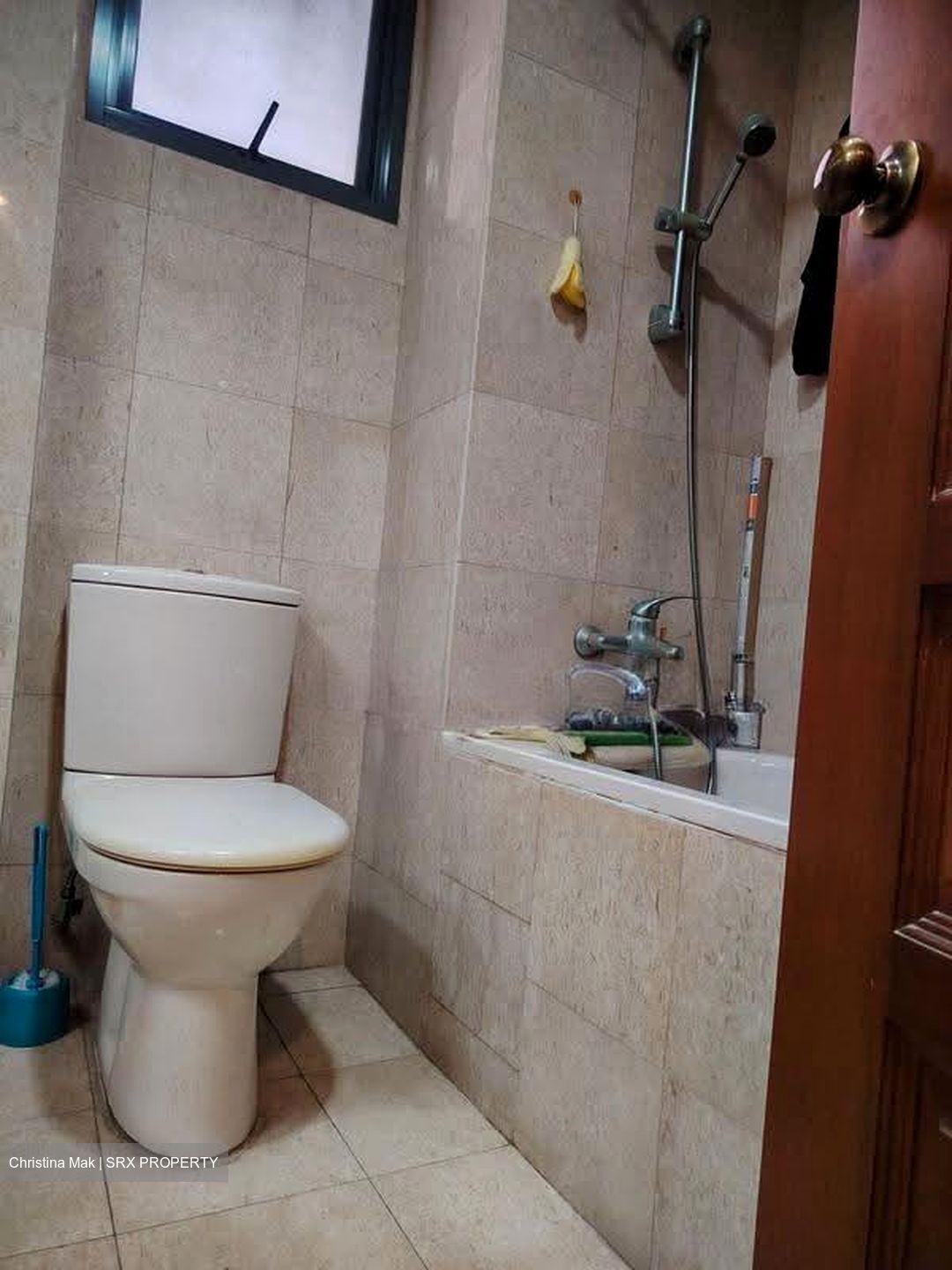 Carissa Park Condominium (D17), Condominium #620416951